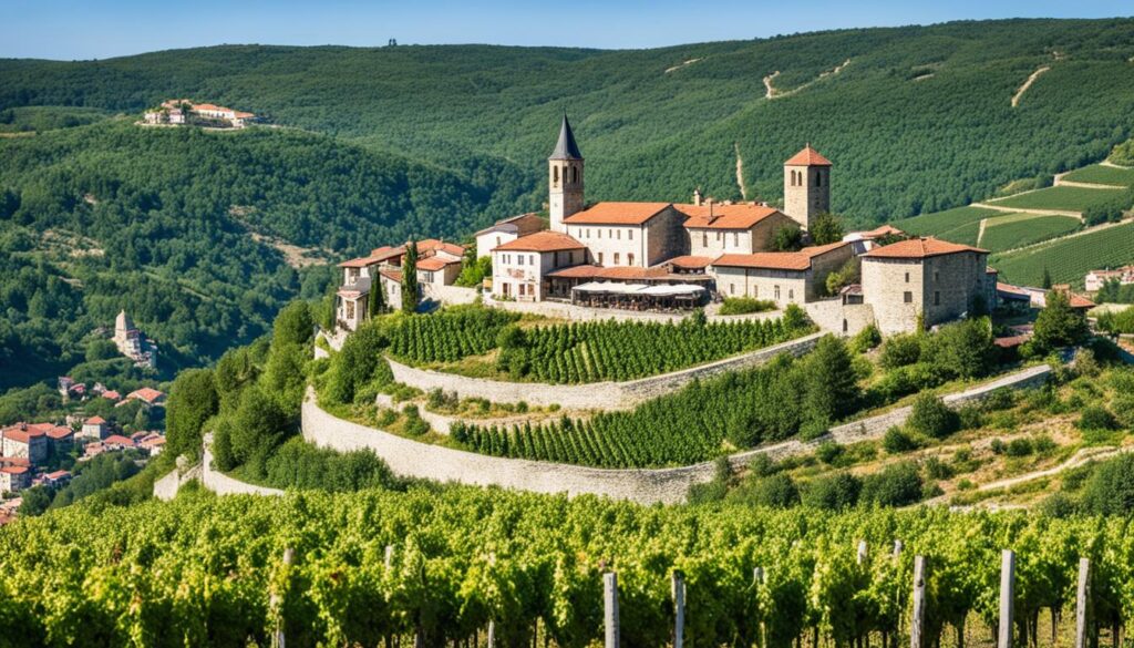 best wineries in Veliko Tarnovo