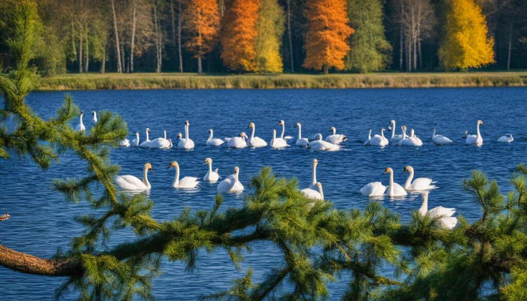 bird species in Trakai